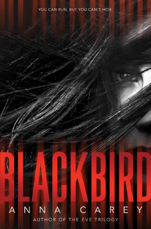 [Blackbird 01] • Blackbird